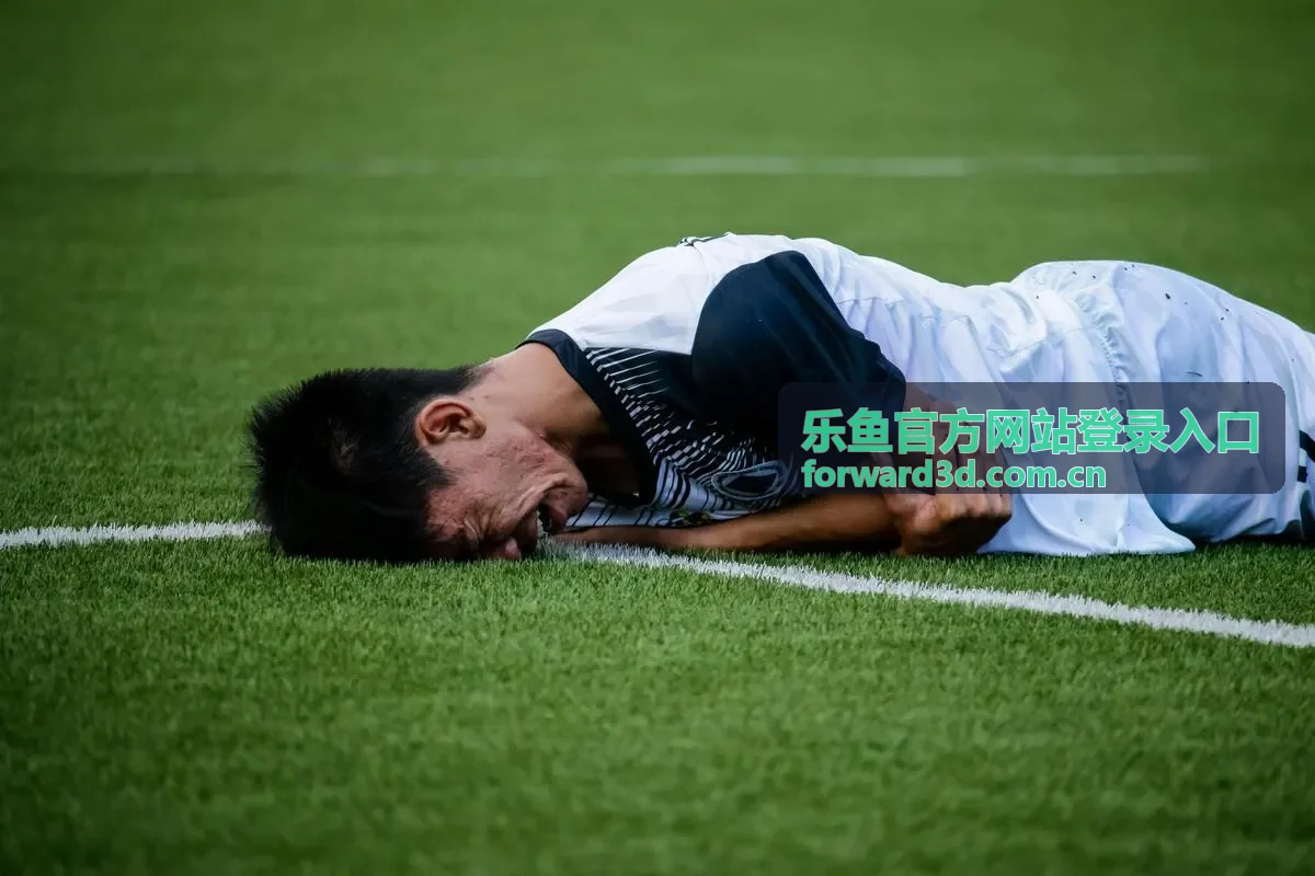 乐鱼官方网站登录入口 文章封面