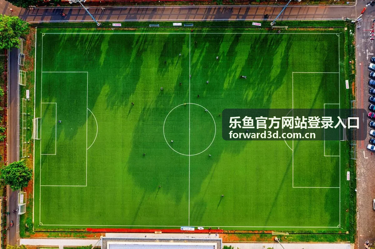 乐鱼官方网站登录入口 相关文章封面