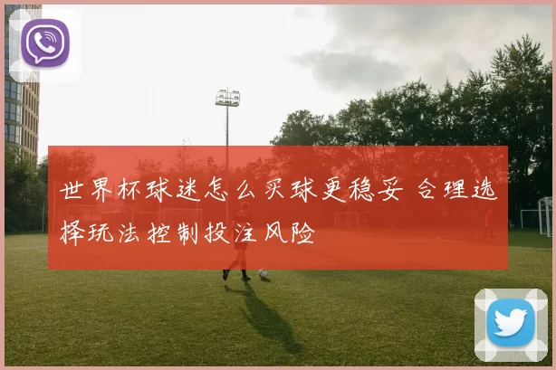 世界杯球迷怎么买球更稳妥 合理选择玩法控制投注风险