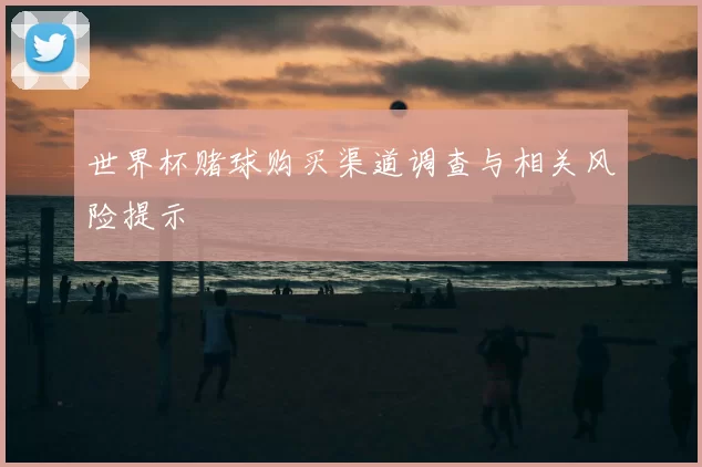世界杯赌球购买渠道调查与相关风险提示