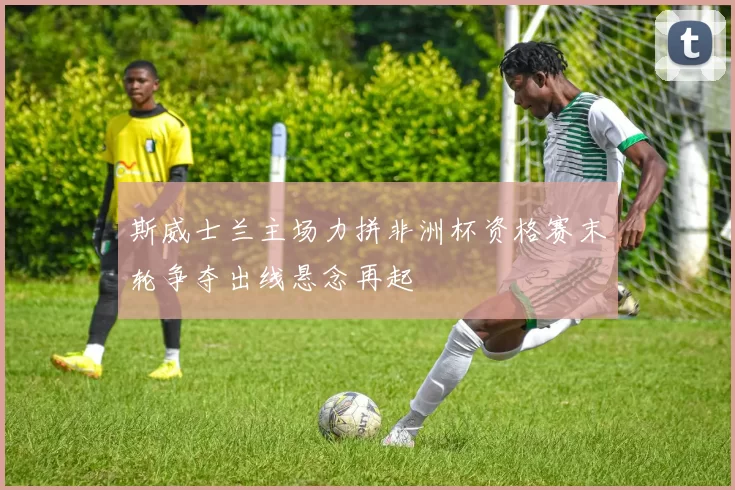 斯威士兰主场力拼非洲杯资格赛末轮争夺出线悬念再起