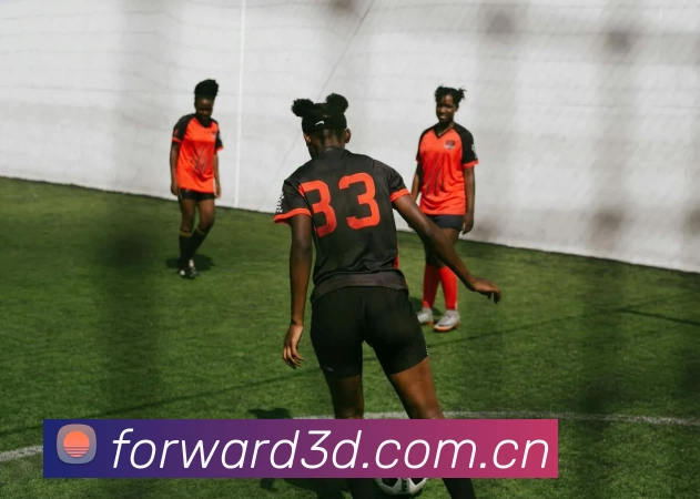 星空官方网站登录入口平台生态图